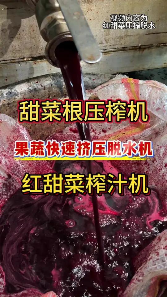 红甜菜榨汁机 果蔬快速挤压脱水机 甜菜根压榨机 不锈钢蔬菜压榨机 水果压榨机 物理冷榨,不