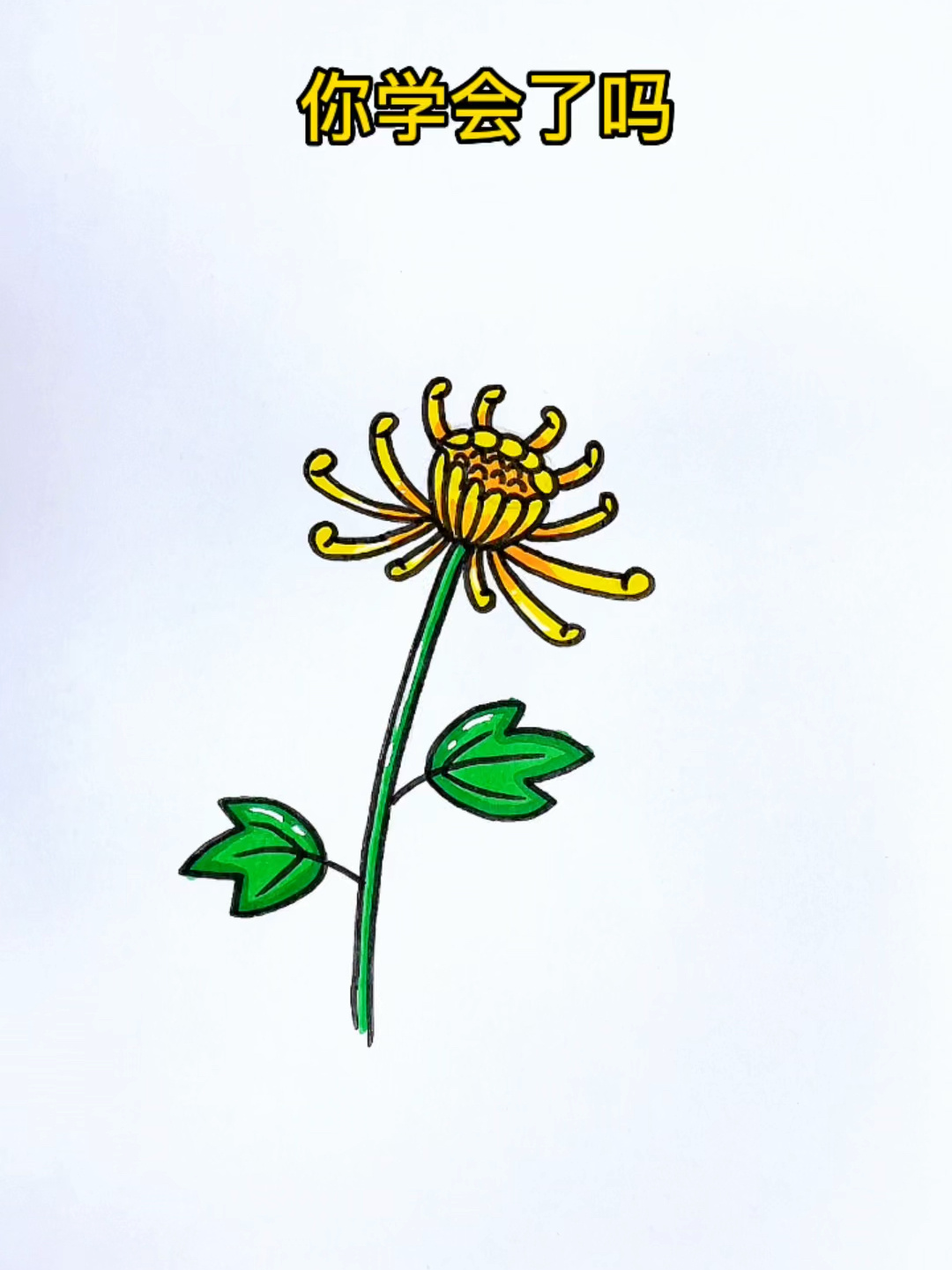 菊花简笔画