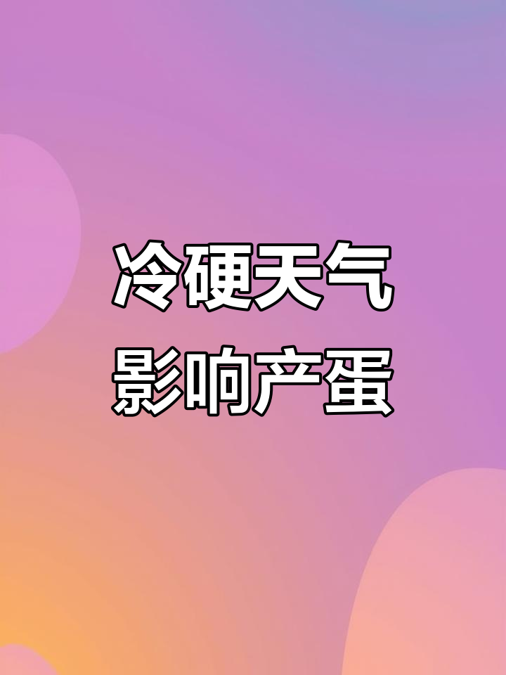 降温后蛋鸡产蛋率下降?可能是脑脊髓炎在作怪