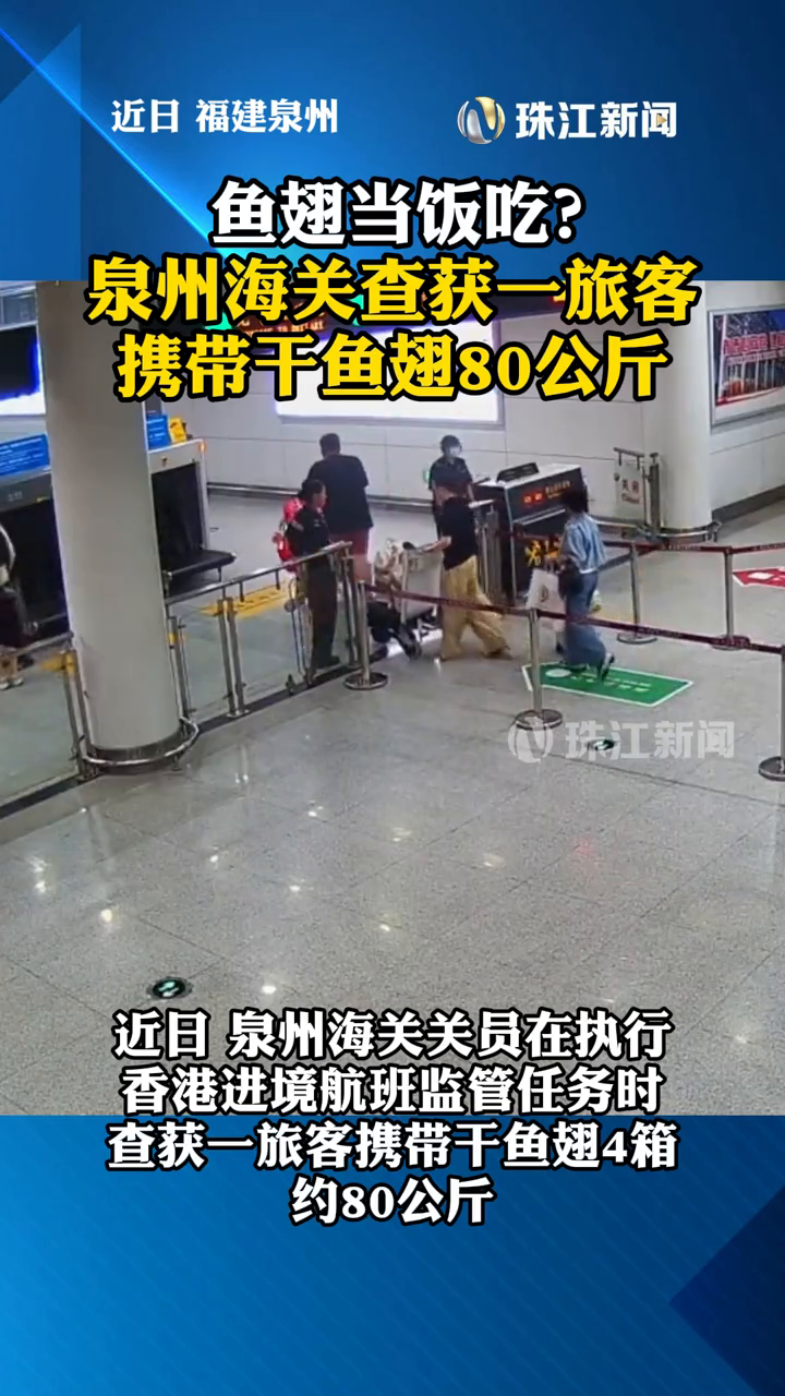 泉州海关查获1名旅客携带干鱼翅4箱 约80公斤