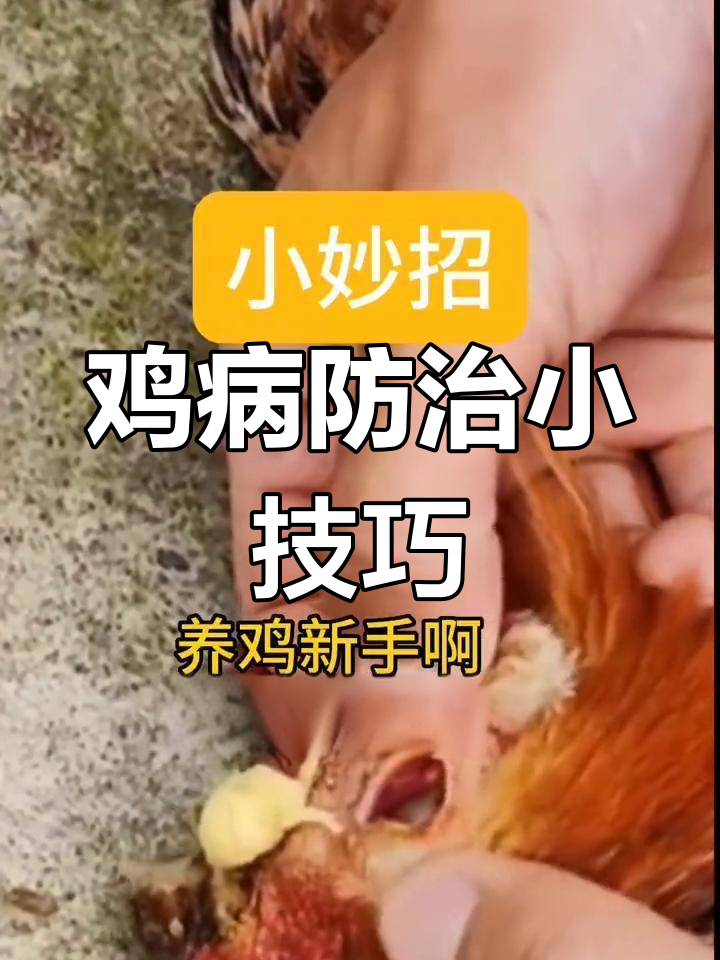 鸡眼肿原因与治疗方法