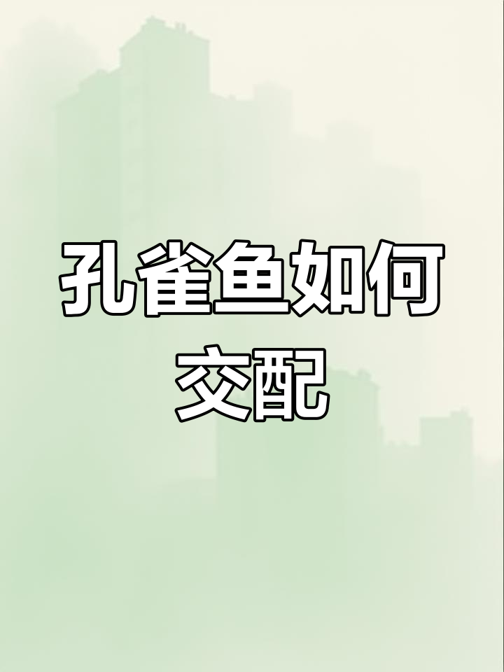 孔雀鱼交配全过程揭秘,公母互动细节大公开