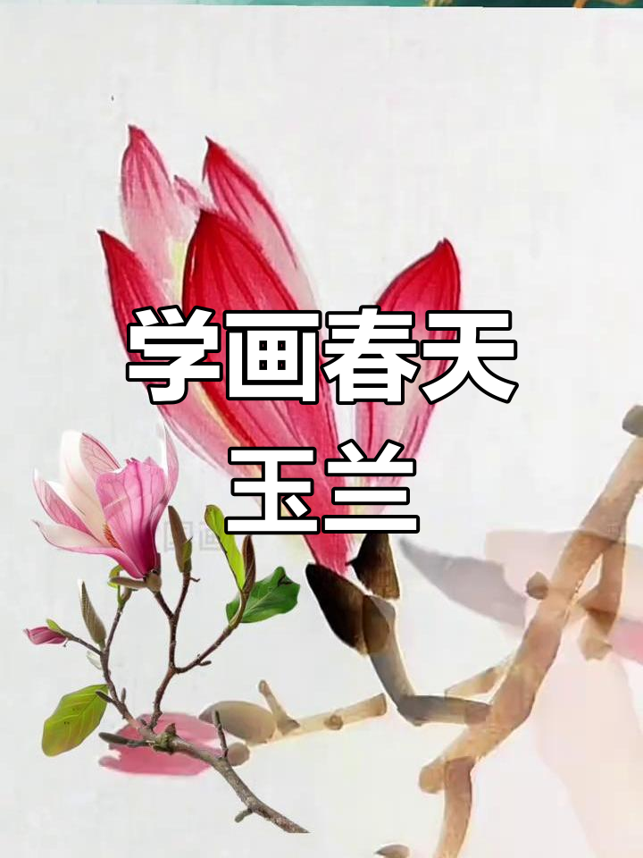 玉兰花国画技巧,轻松画出美丽花朵