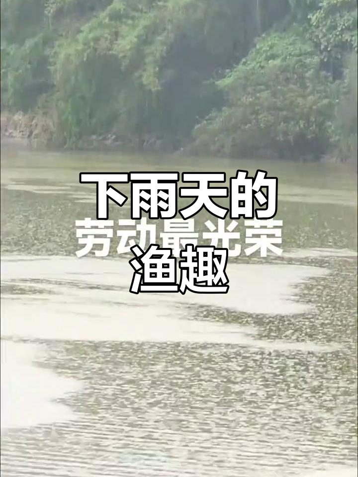 雨天捕鱼乐趣多,劳动者也能这样玩