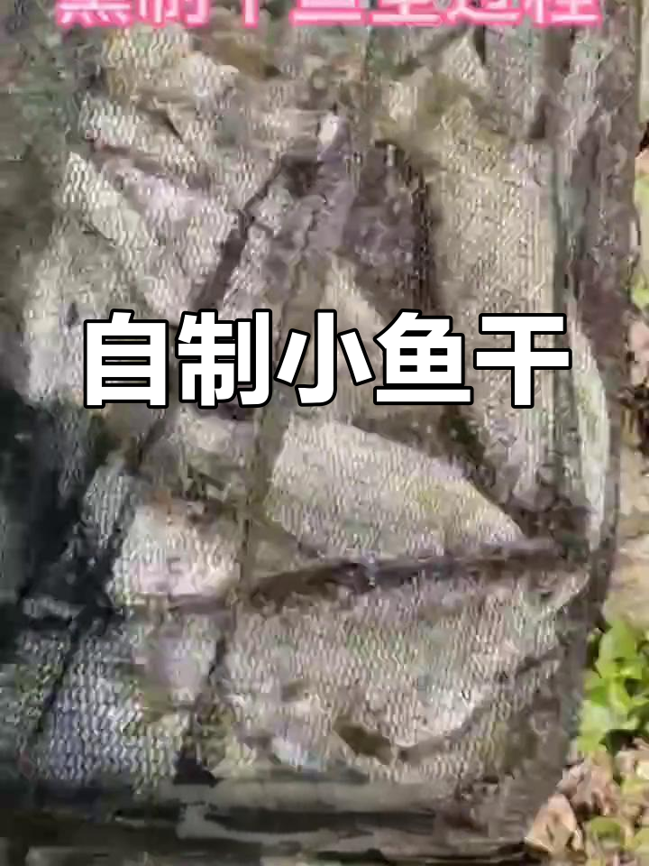 野生小河鱼干制作方法