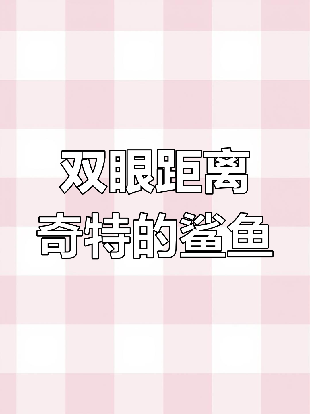 锤头鲨独特造型,双眼相距1米,海底观察力超群!