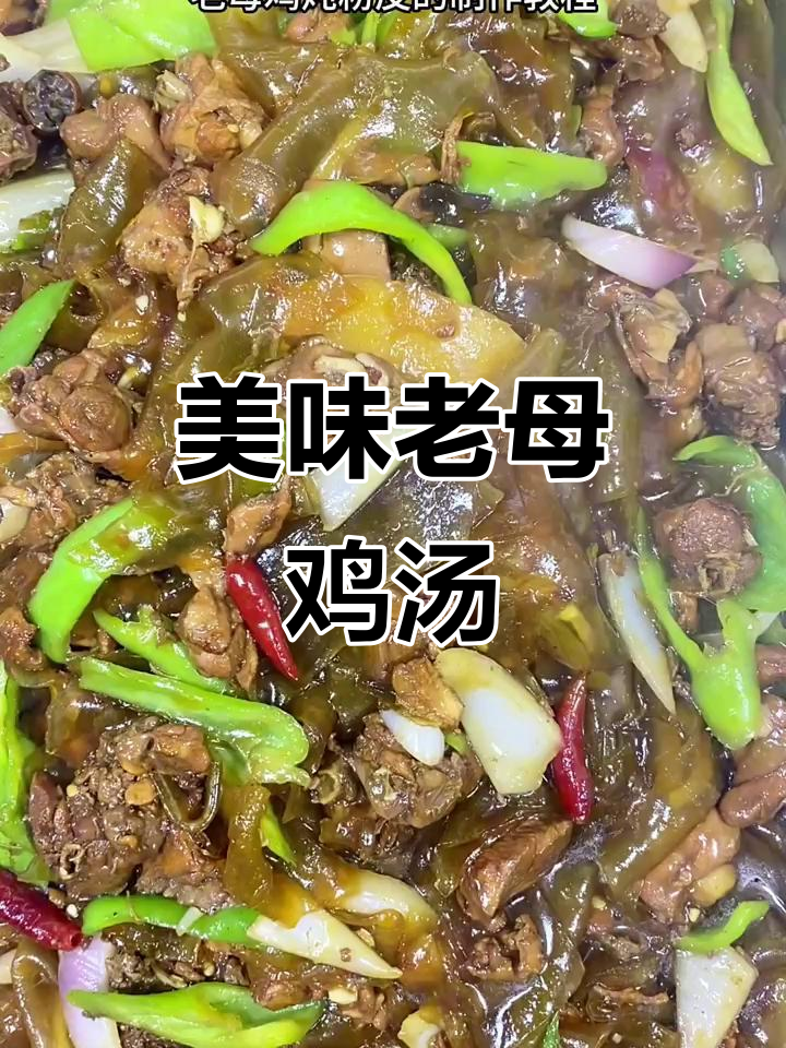 老母鸡炖粉皮,鸡肉软烂入味,粉丝Q弹鲜香