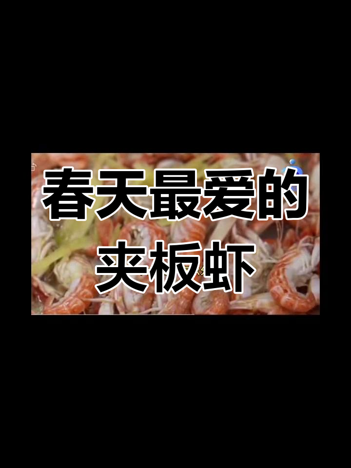 春季威海必吃夹板虾,鲜甜美味不容错过