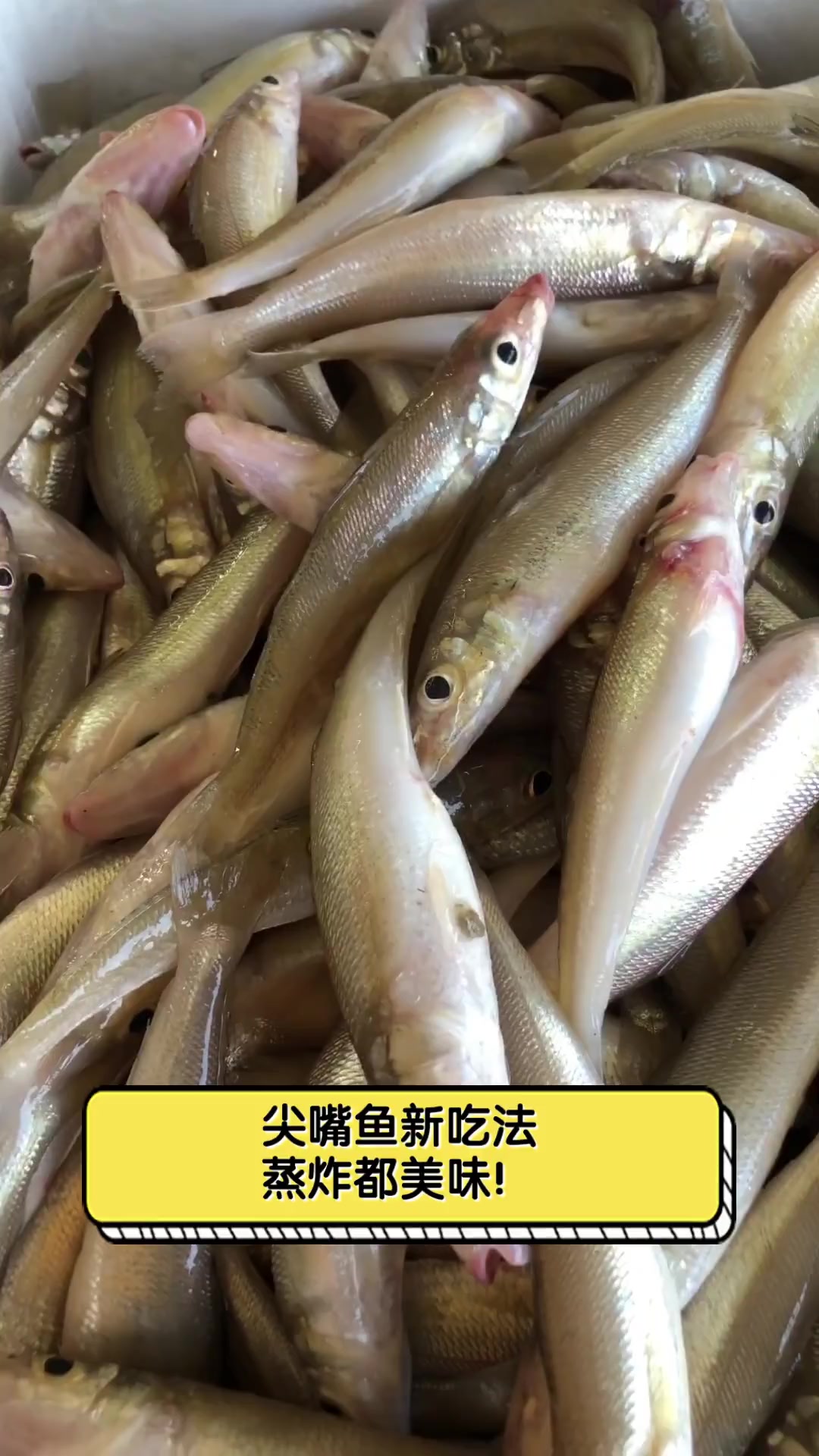 尖嘴鱼新吃法,蒸炸都美味!