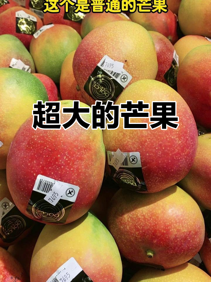 超大芒果来袭,看看这个有多大!
