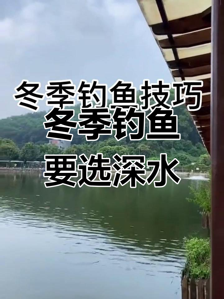 冬季钓鱼技巧:深水远钓更有效