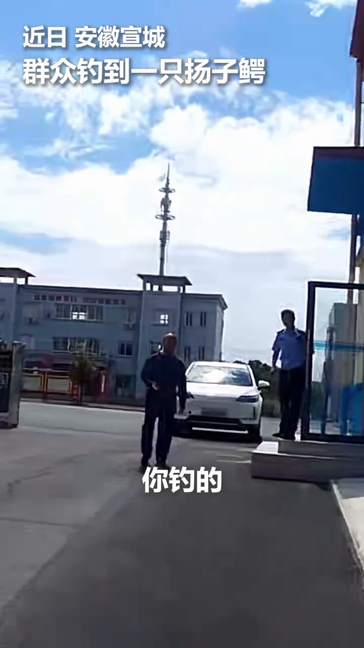 男子钓鱼钓到扬子鳄,民警将鳄鱼安全移交至扬子鳄保护管理站