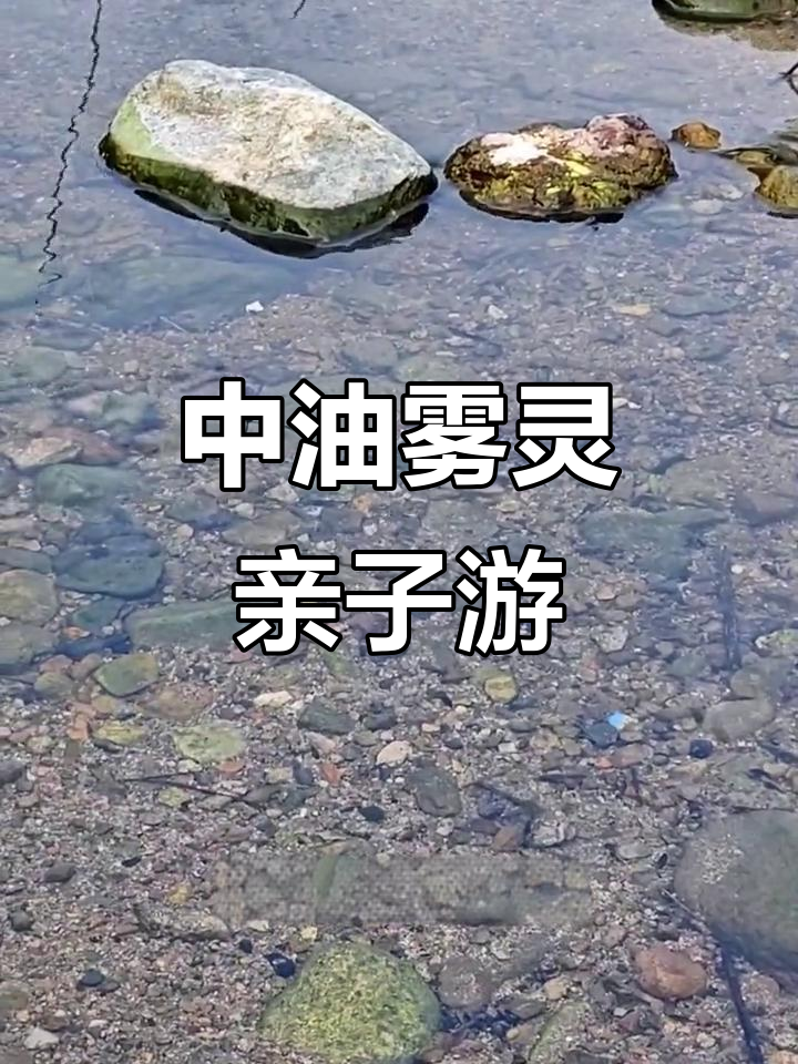 亲子抓鱼玩水,清凉一夏!北京周边中油雾灵度假村户外烧烤