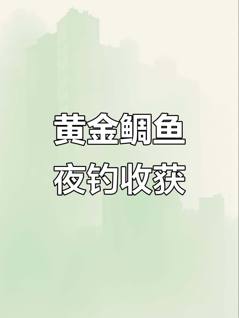 2024年3月25日黄金鲷鱼夜钓大丰收,港口内热闹非凡