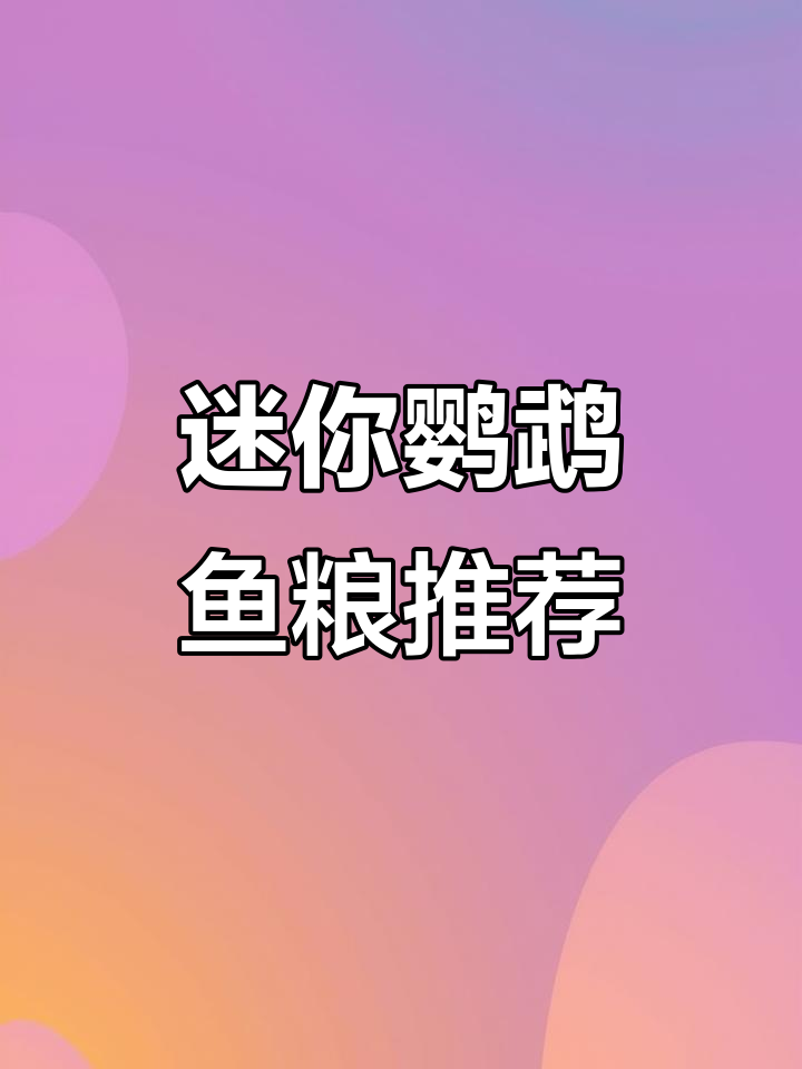 迷你鹦鹉鱼粮选择指南:三种优质饲料推荐