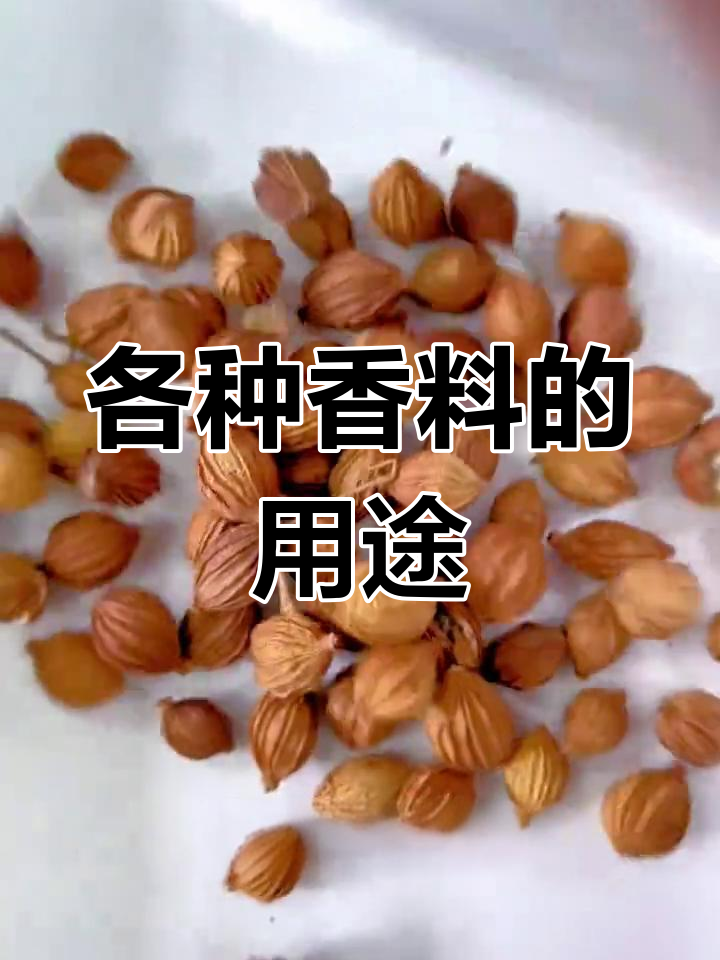 常见香料的作用与功效,了解每一种的味道和功能