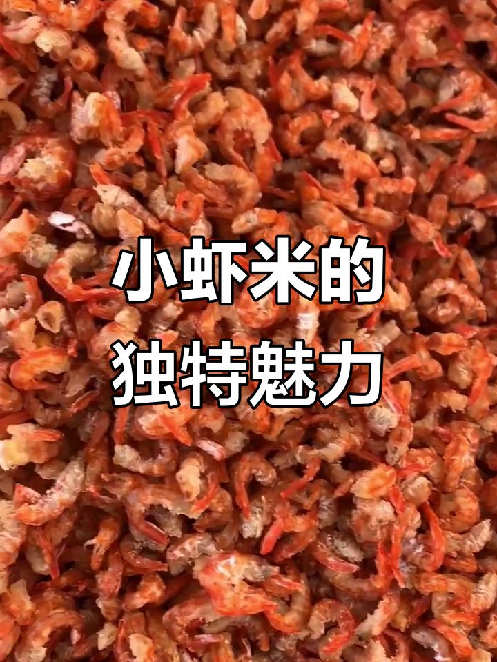 野生小虾米,营养丰富又美味