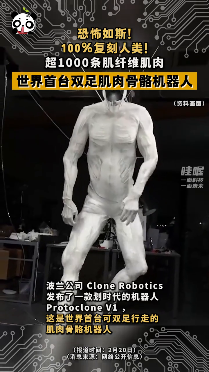 100%复刻人类!世界首台可双足行走的肌肉骨骼机器人