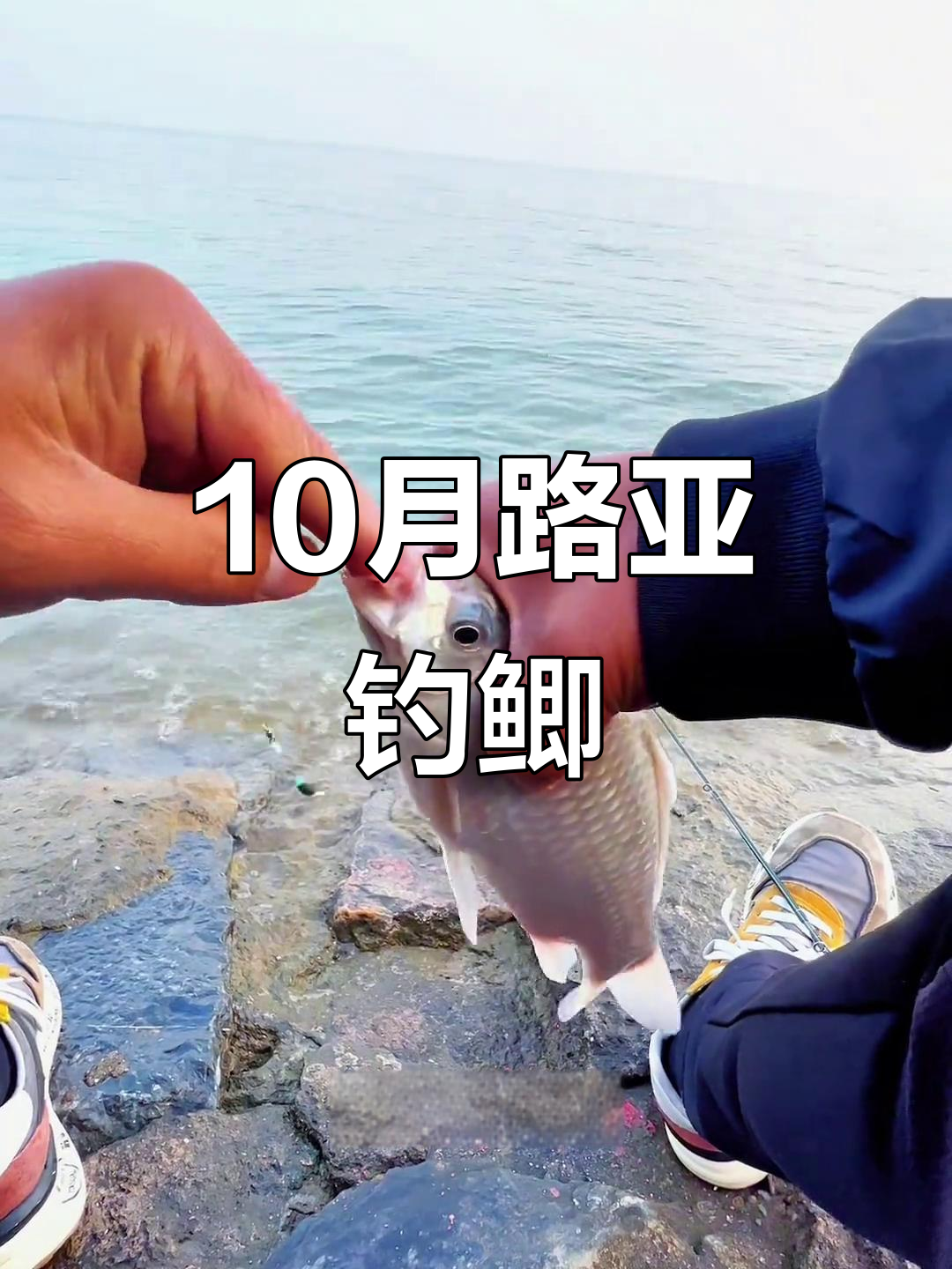 10月16日路亚挑战不空军，轻松钓鲫鱼！