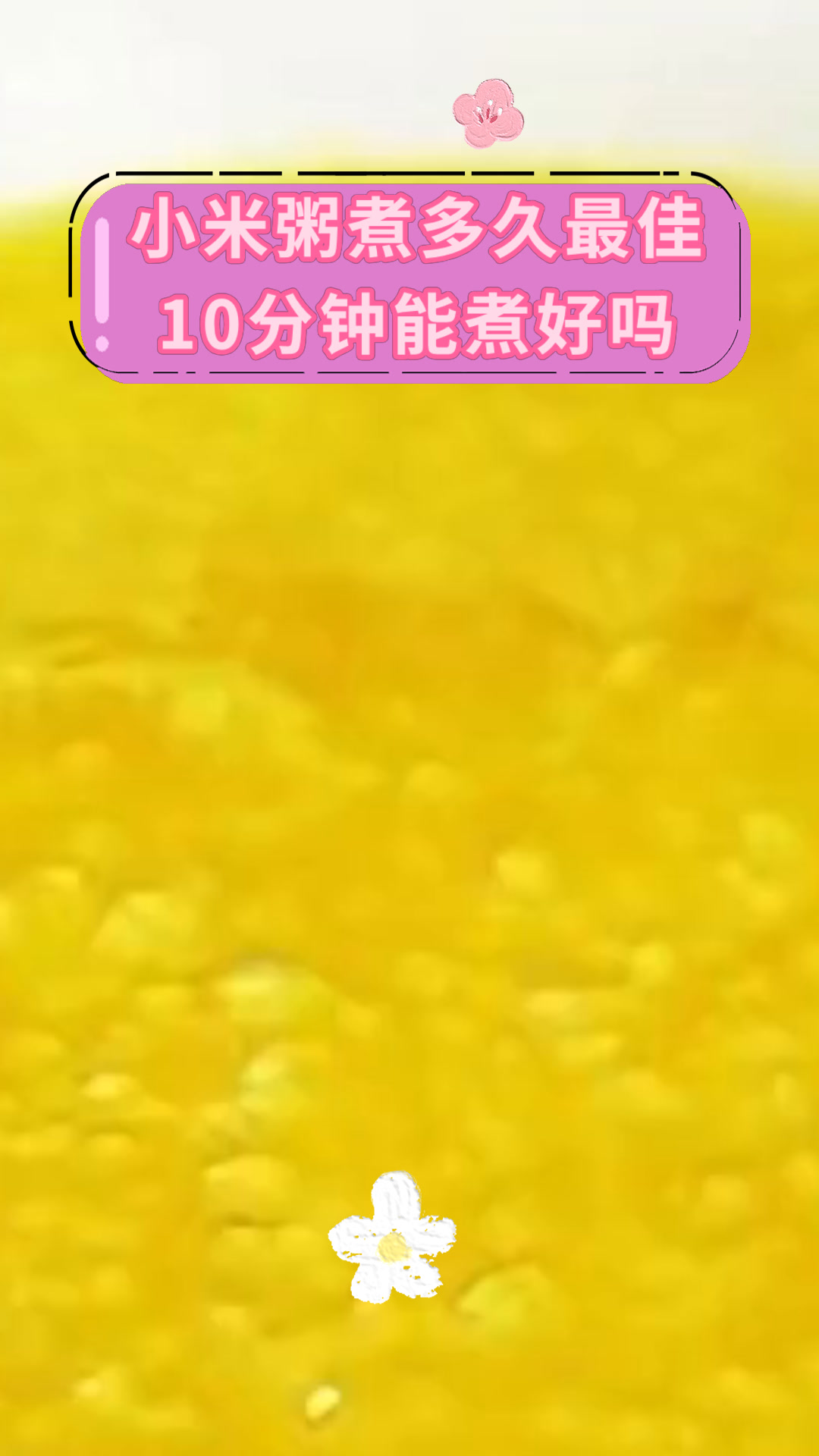 小米粥煮多久最佳10分钟能煮好吗