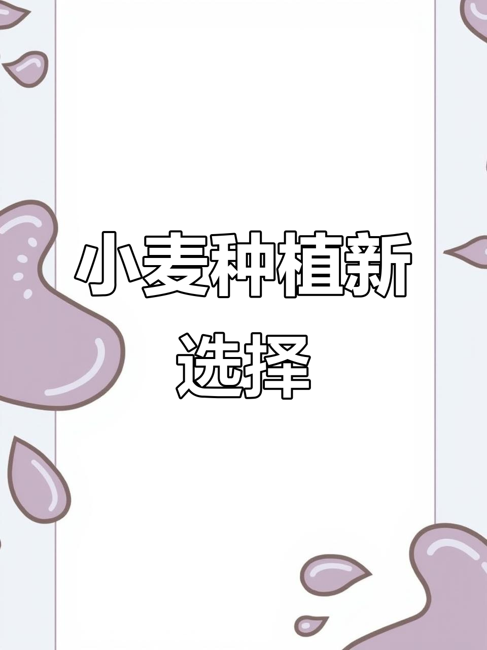 农哈哈小麦旋播机,高效施肥播种一气呵成