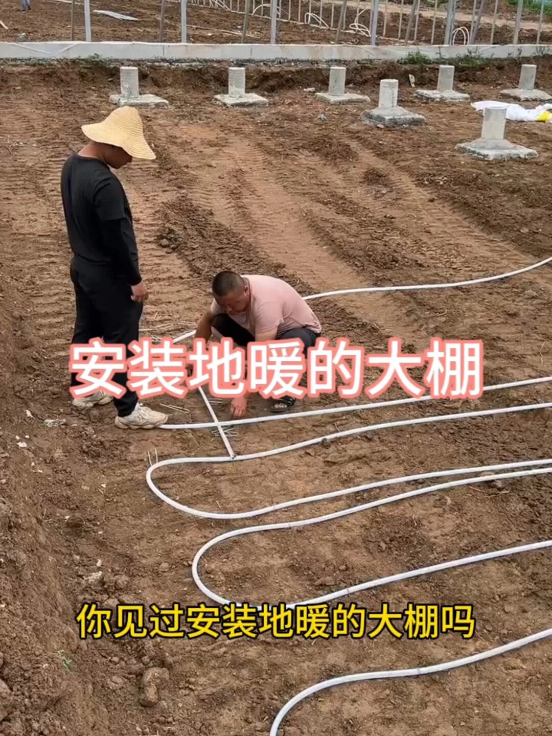 大棚里装地暖你见过吗