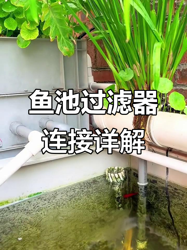 鱼池过滤管道全解析:如何设计高效循环系统