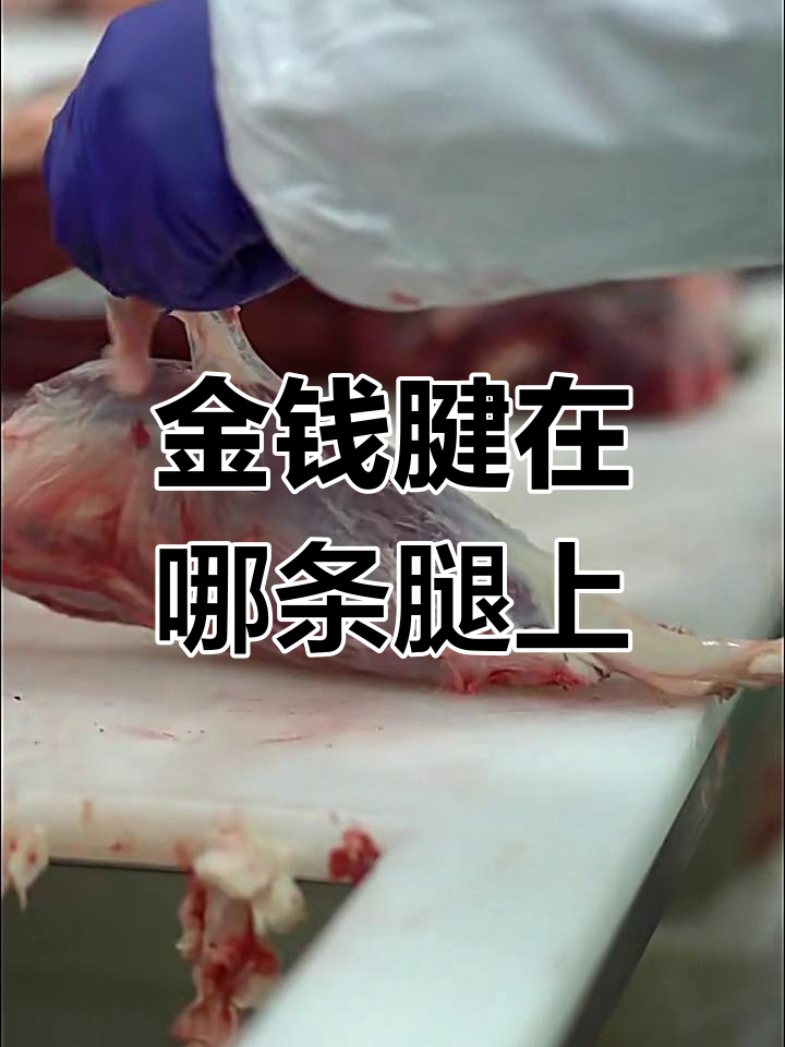 金钱腱到底在前腿还是后腿?揭秘牛腱肉的秘密