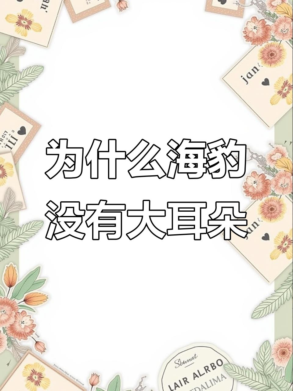 海豹耳朵藏在哪?原来这么特别!