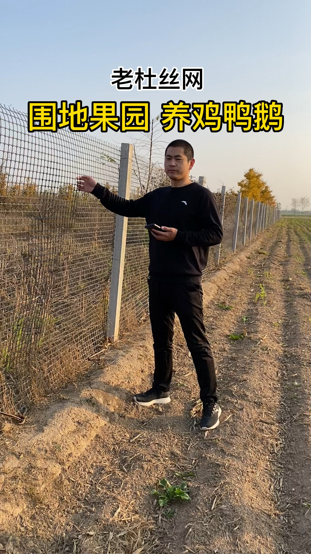 养鸡专用塑胶围栏网