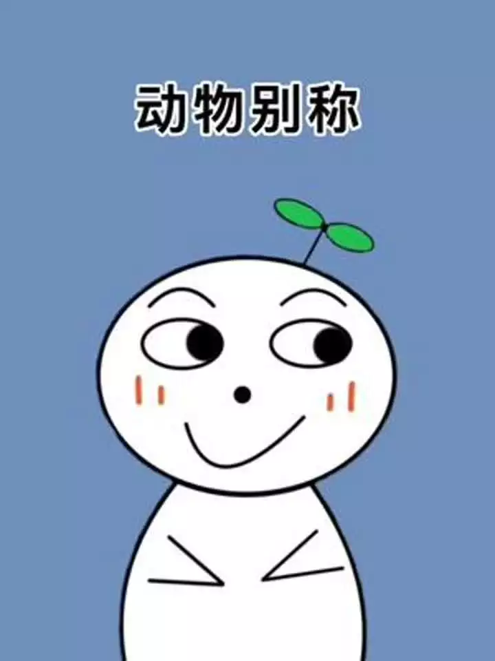 原来古代这些动物的别称这么好听 冷知识 科普 动物别称 动物