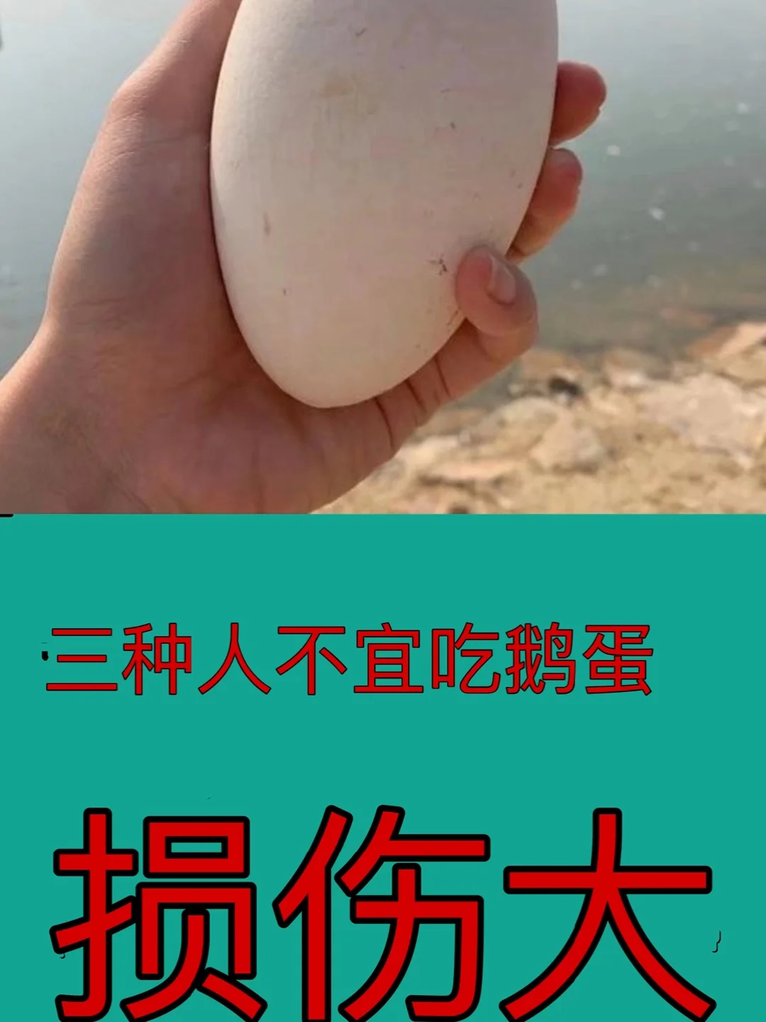 三种人不宜吃鹅蛋