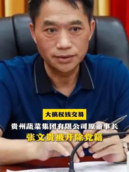 大搞权钱交易!贵州蔬菜集团有限公司原董事长张文贵被开除党籍(来源:贵州省纪委监委网站 制作