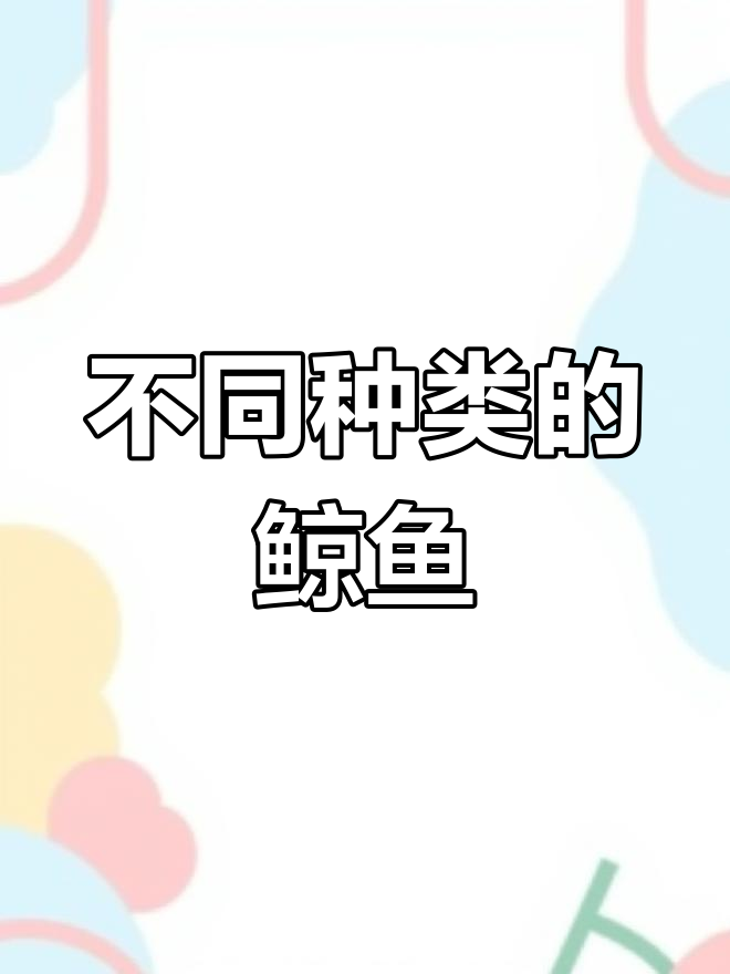 鲸鱼种类大揭秘:体型与特征的差异