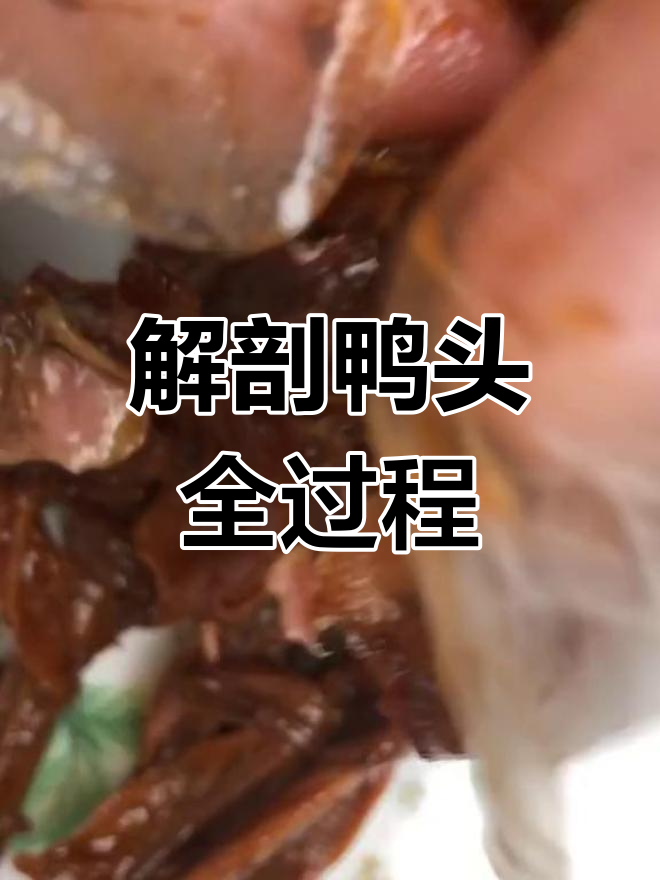亲自解剖鸭头,揭秘内部结构