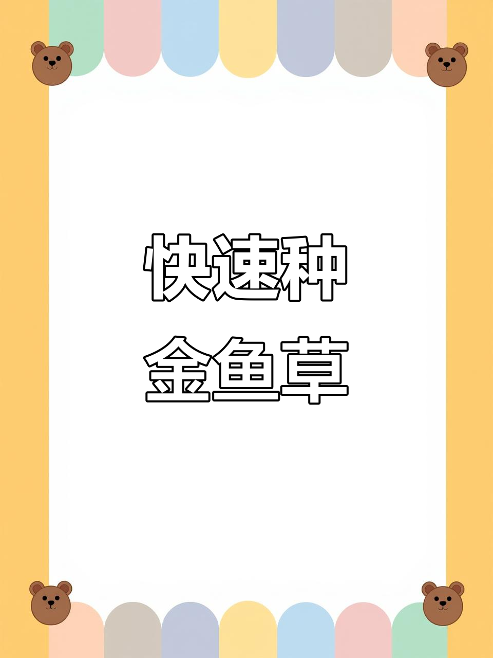 金鱼草种子播种技巧,三到五天就能发芽!