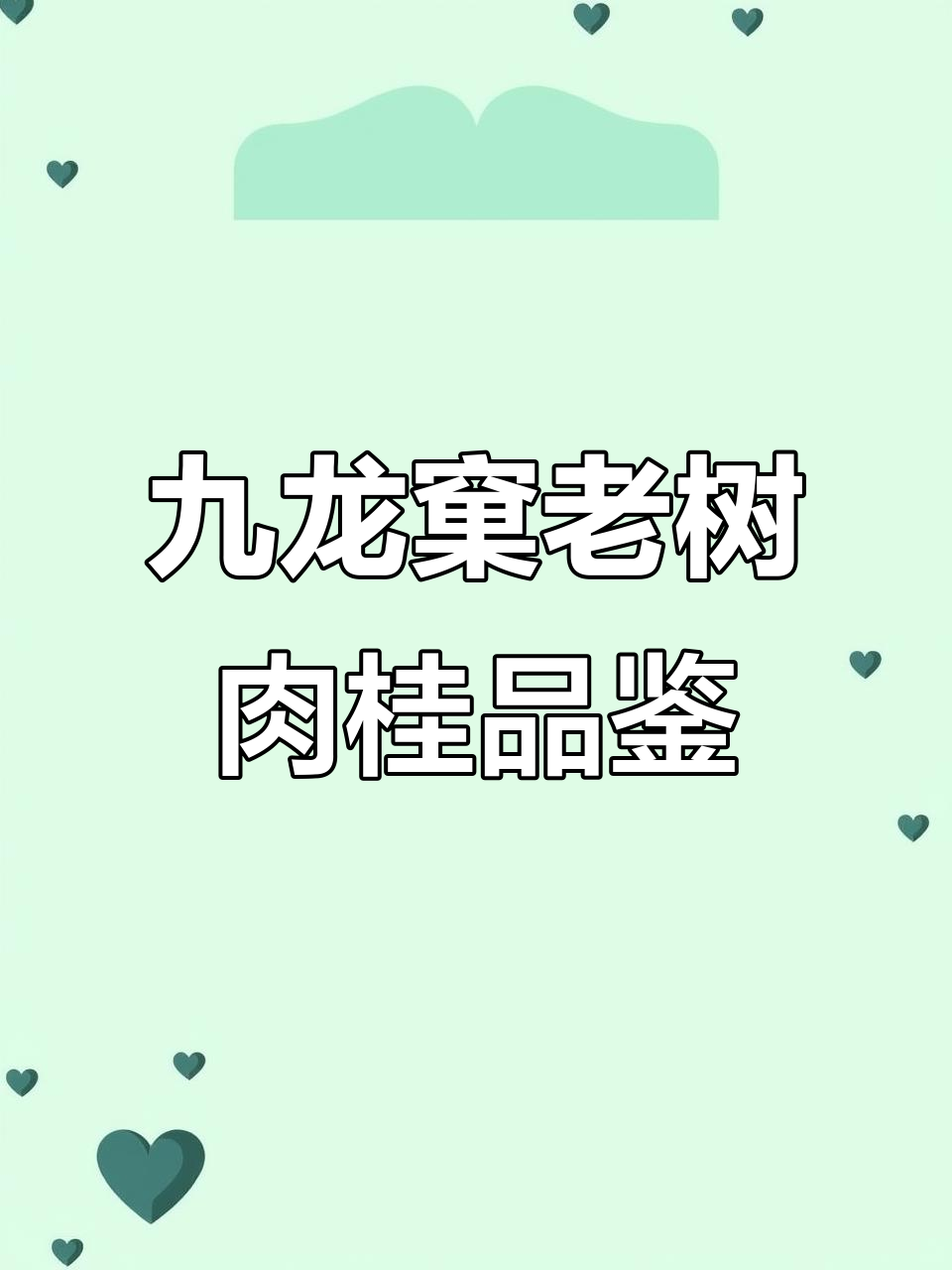 龙泉郡九龙窠老树肉桂:茶的口感与生长环境的完美融合
