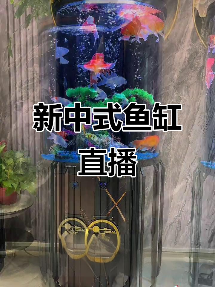 客厅高档大气鱼缸,新中式灯笼款设计
