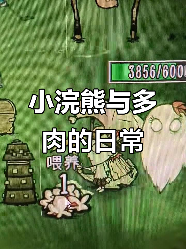 领养小浣熊，青蛙雨来袭！多肉植物也种上了