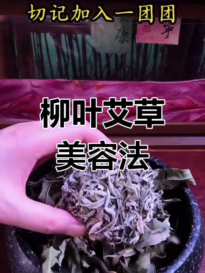 柳叶艾草与生姜的神奇搭配,打造独特美容体验