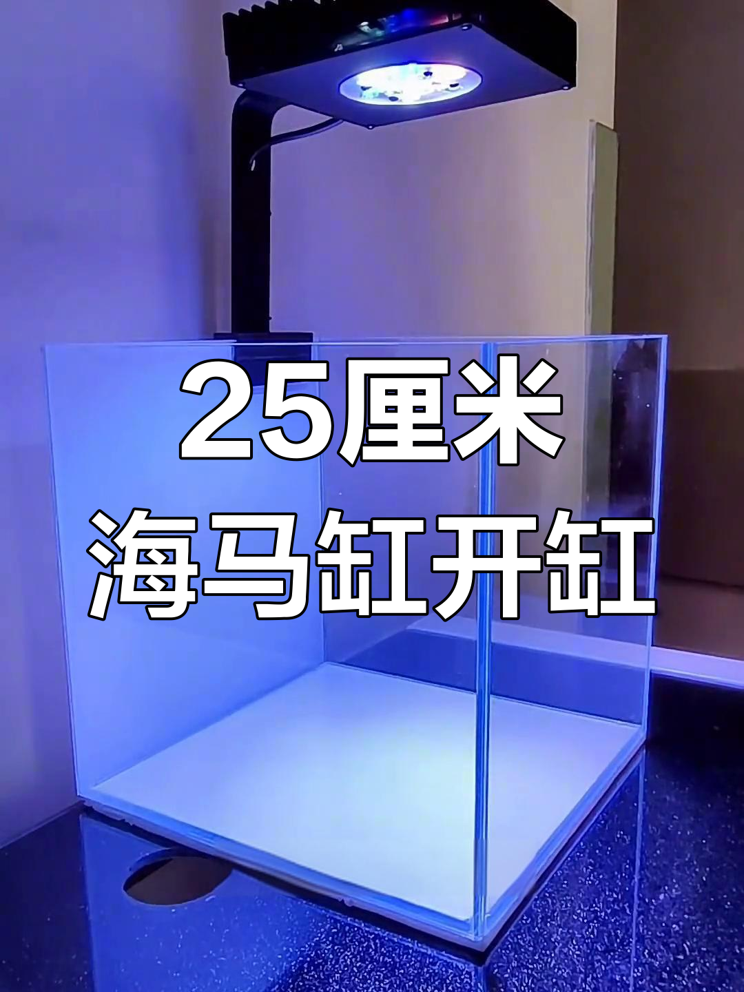 海马缸开缸全流程,细节决定成败