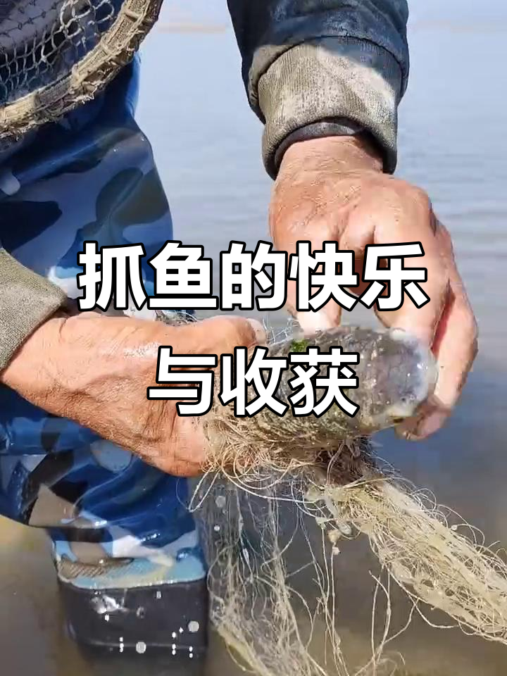 白沙湾海边捕捞大丰收,野生梭鱼和偏口鱼满满一网