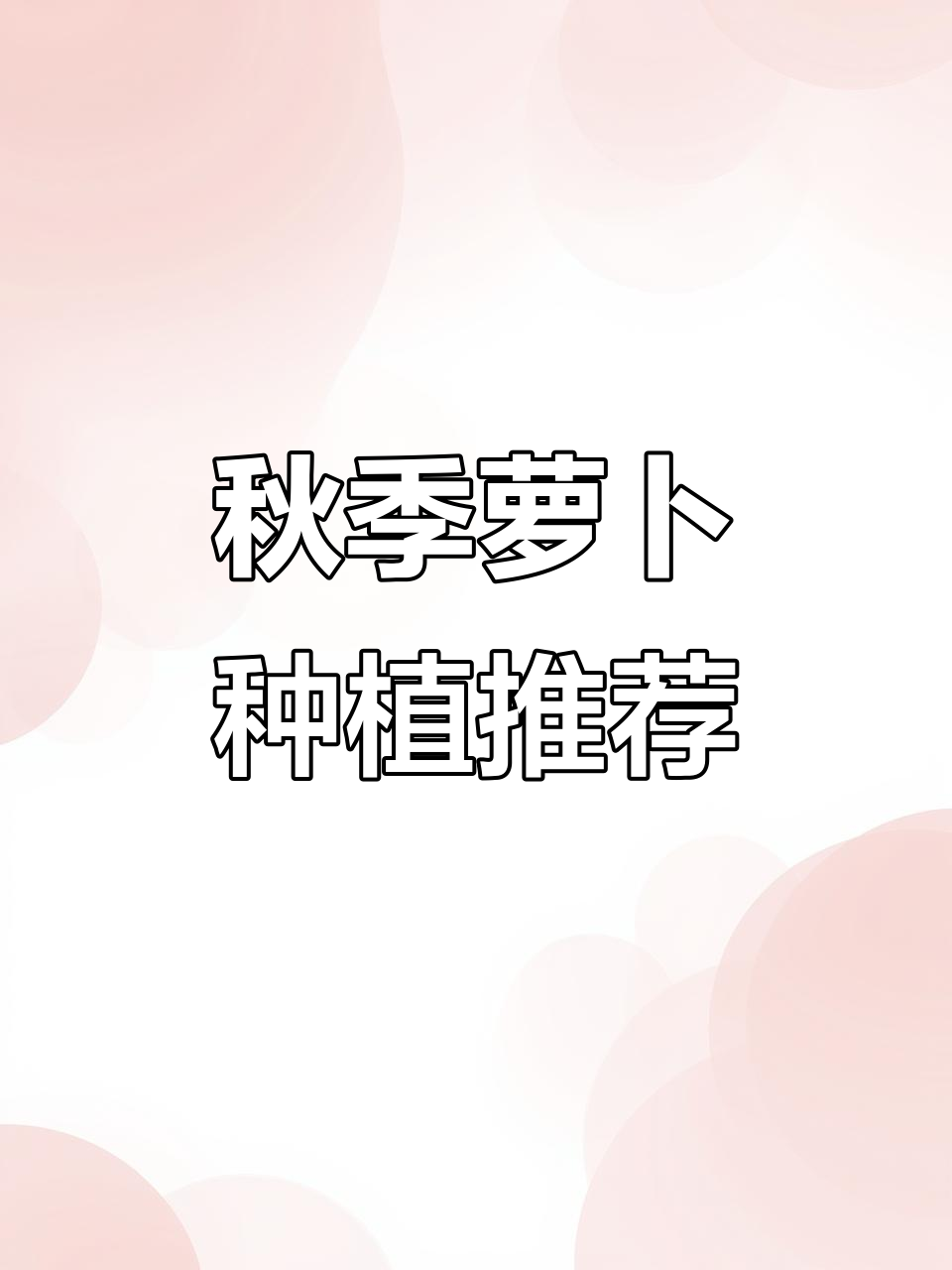 立秋将至,种萝卜正当时,雪梨品种值得一试!