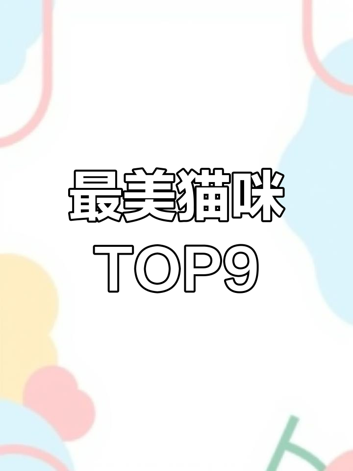 9种公认最漂亮的猫,第一名当之无愧!
