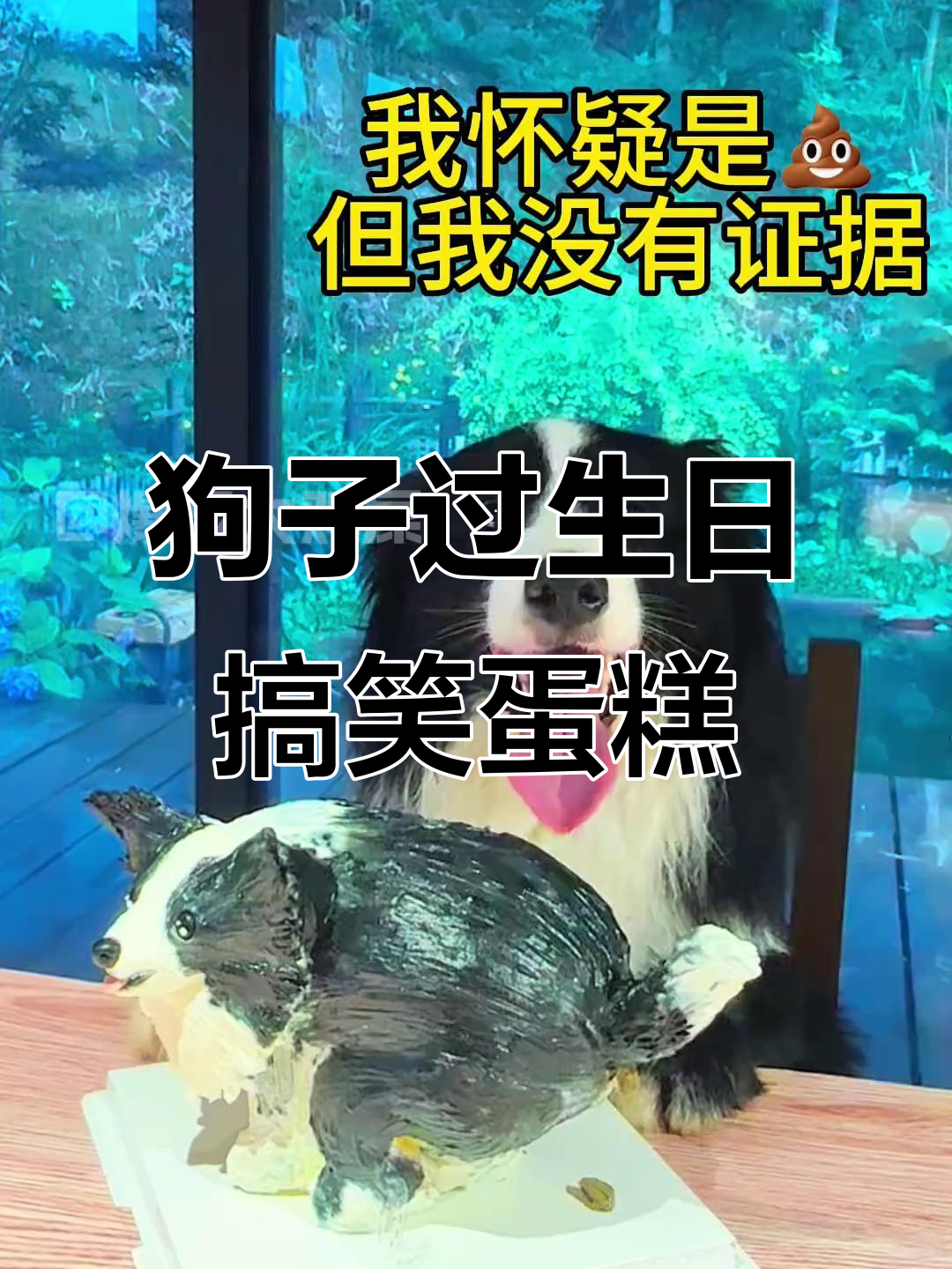 小狗生日蛋糕大作战,恶搞闺蜜送惊喜!