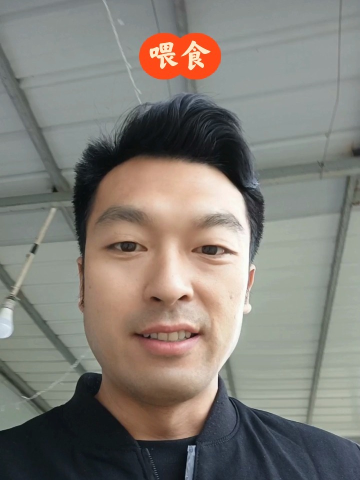 龙虾喜欢吃什么