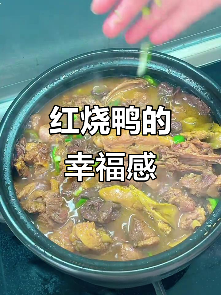 烧了孩子最爱的红烧鸭,砂锅满满,厨房成了我的幸福乐园