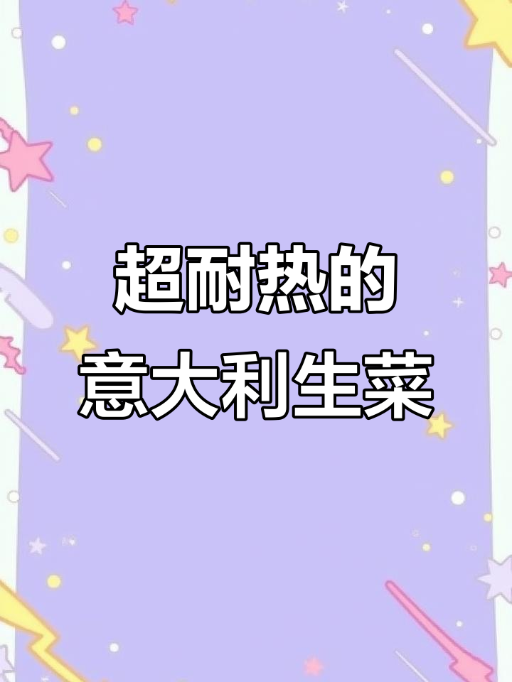 阳台小院必种!耐热生菜,脆嫩可口,凉拌火锅都超美味
