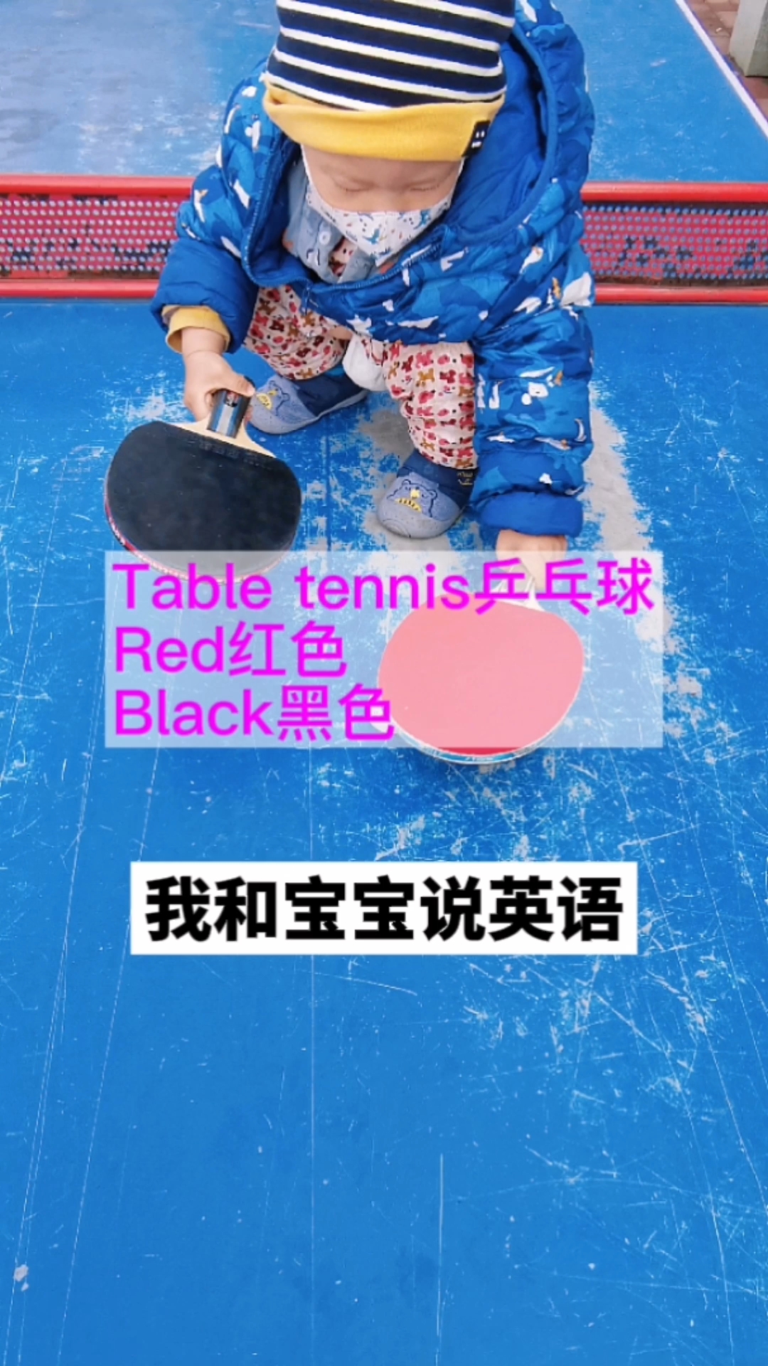 我和宝宝说英语Table tennis乒乓球