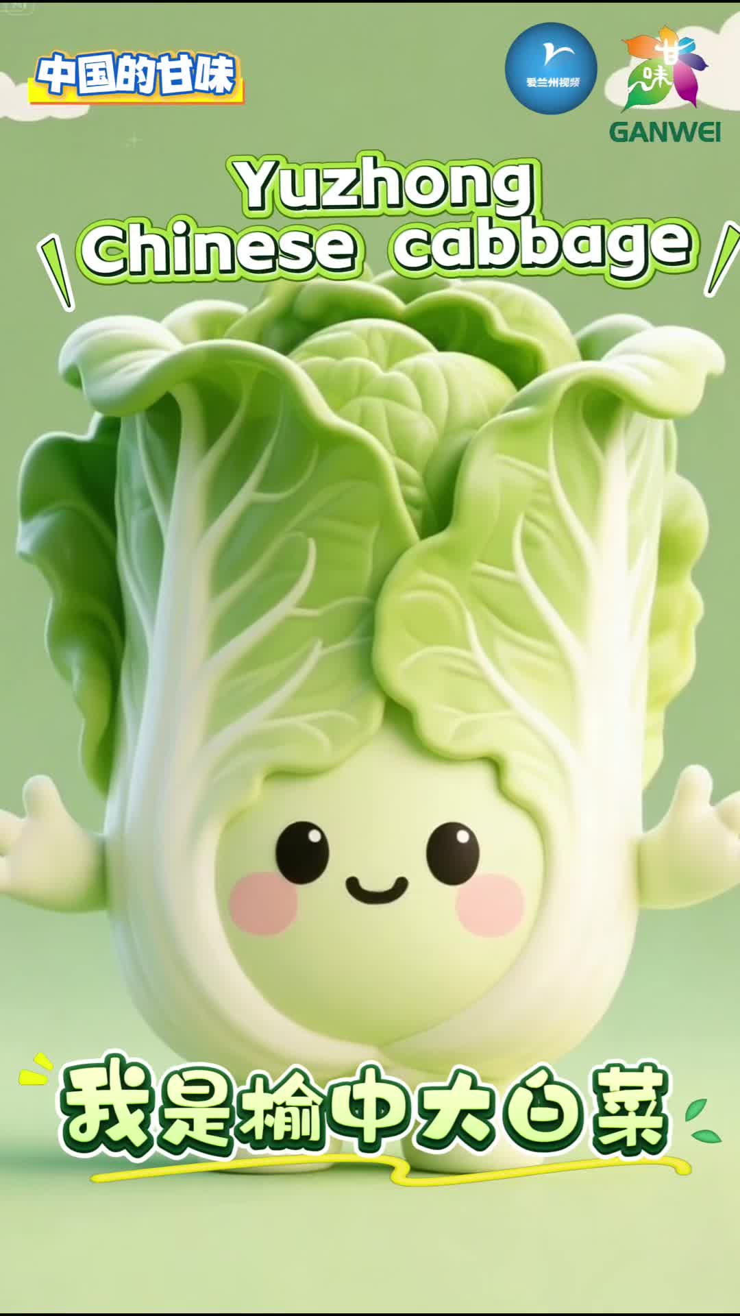 甘味飘香之榆中大白菜